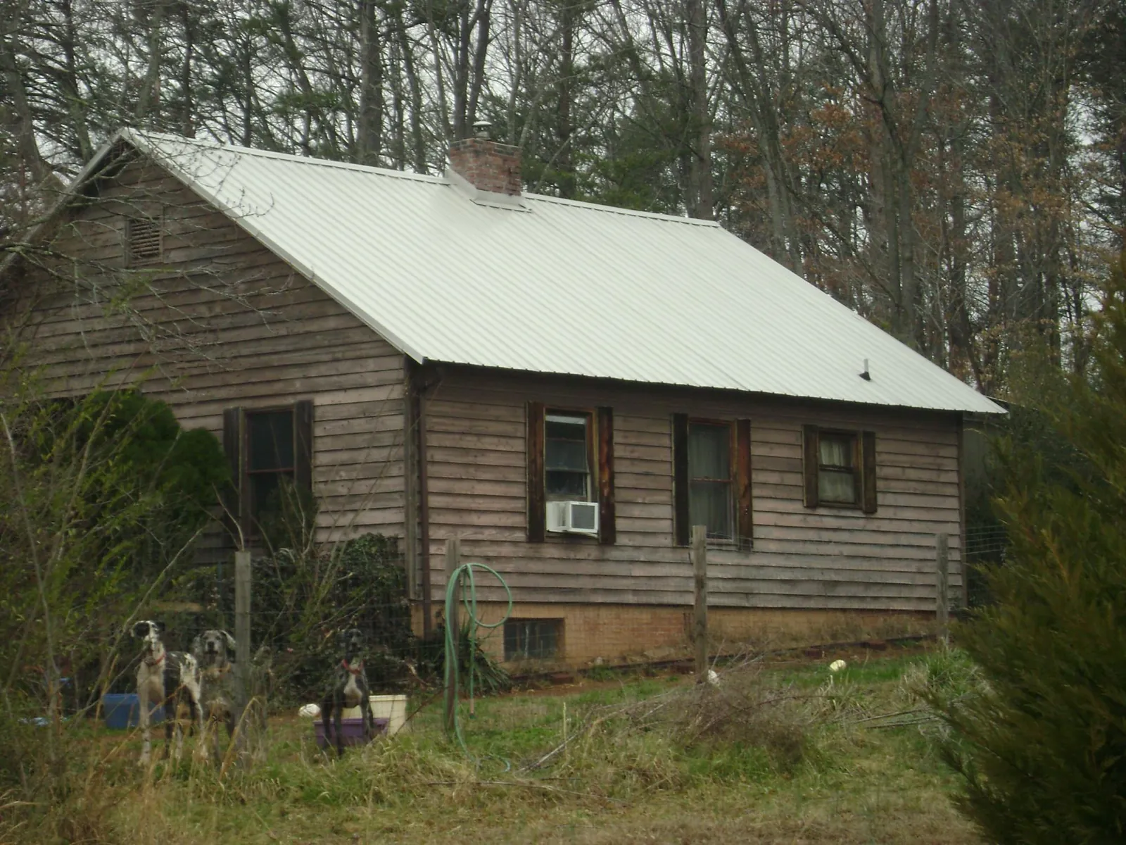 White metal roof on an old wood sided farmhouse, from a Asphalt Shingle Roof Repair job in Swanton